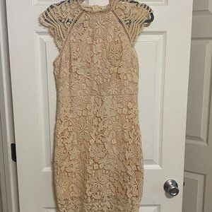 Main Strip Ladies Cream Lace Dress Size Med